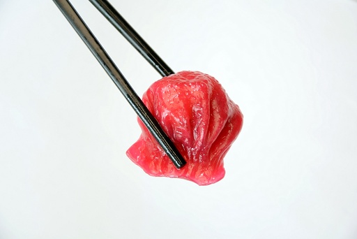 [10-1-2. Hakao de Gamba estilo Cantonés-Color Rosa] 10-1-2. Hakao de Gamba estilo Cantonés-Color Rosa
